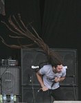 Shadows Fall